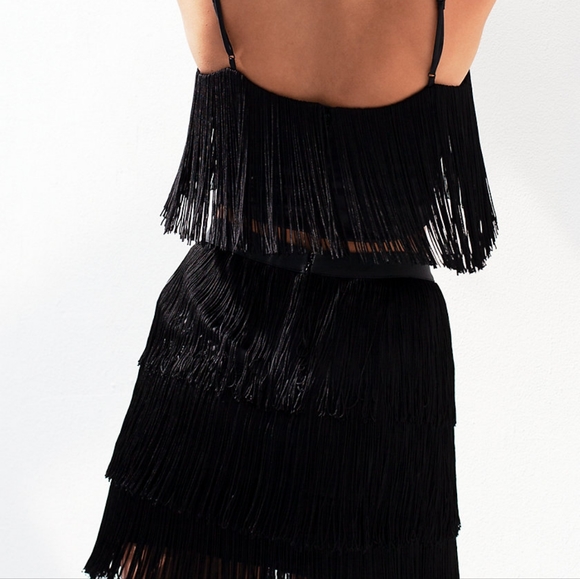 NWT Babaton Mirage Fringe Top in Espace - Picture 5 of 5